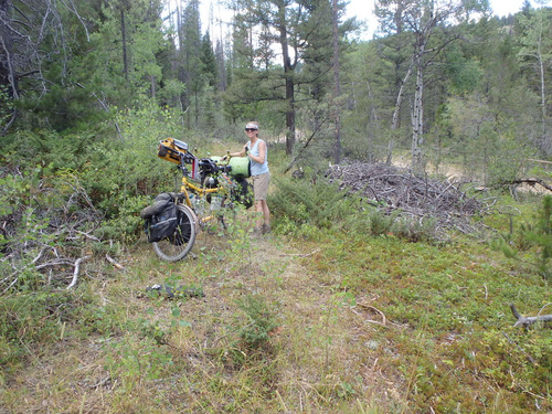 GDMBR: We found a suitable campsite up the road.